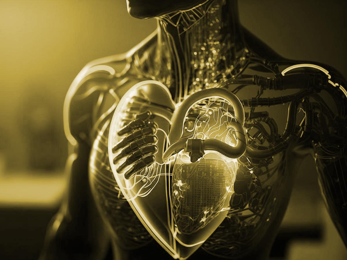 Health and Longevity